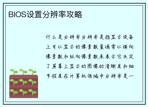 BIOS设置分辨率攻略