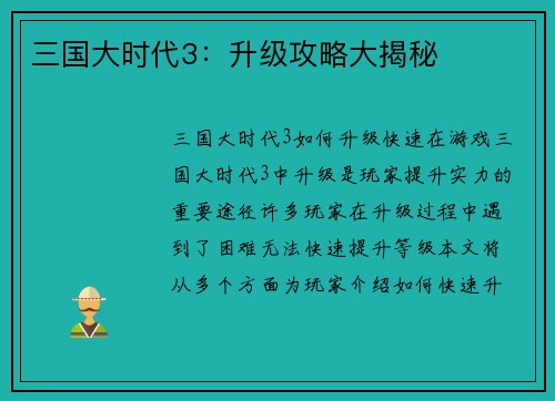 三国大时代3：升级攻略大揭秘